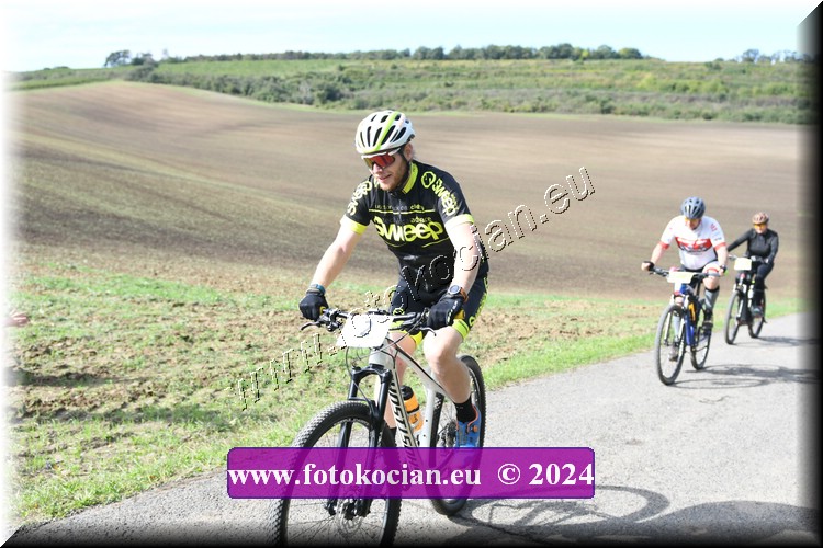 Náhled obrázku: 2024-1077-Valtice-2.JPG