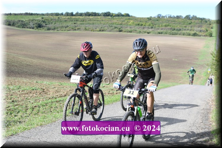 Náhled obrázku: 2024-1080-Valtice-133,31.JPG