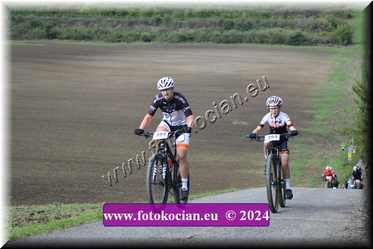 Náhled obrázku: 2024-1090-Valtice-394,393.JPG