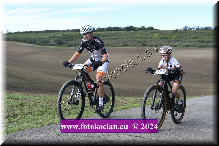 Náhled obrázku: 2024-1091-Valtice-394,393.JPG