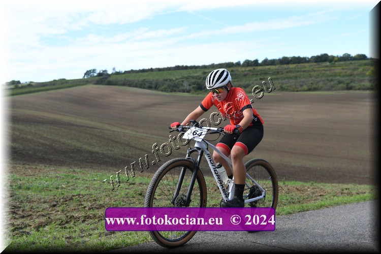 Náhled obrázku: 2024-1094-Valtice-364.JPG