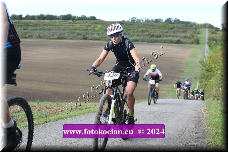 Náhled obrázku: 2024-1097-Valtice-326.JPG