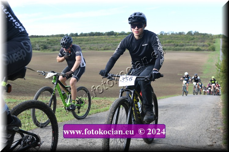 Náhled obrázku: 2024-1101-Valtice-356.JPG