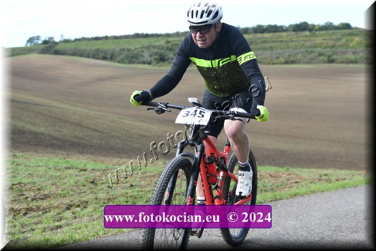 Náhled obrázku: 2024-1102-Valtice-345.JPG