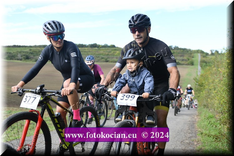 Náhled obrázku: 2024-1110-Valtice-399,377.JPG