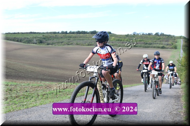 Náhled obrázku: 2024-1112-Valtice-347.JPG