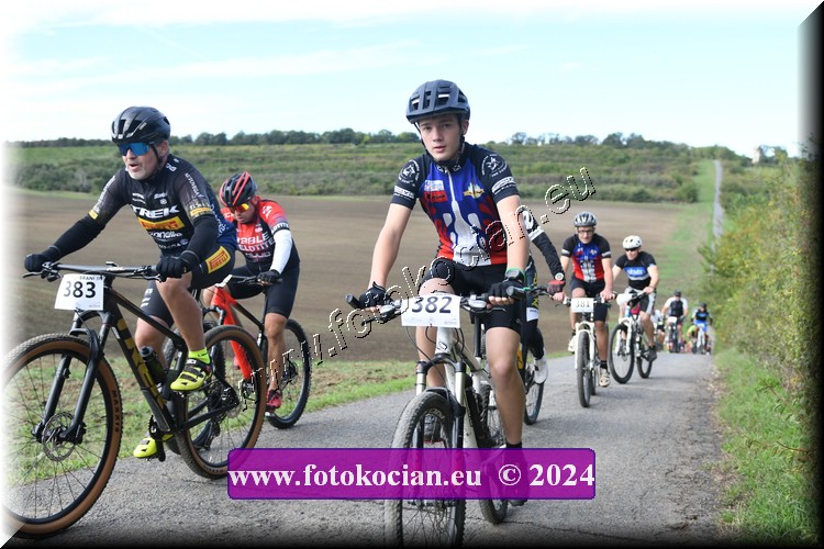 Náhled obrázku: 2024-1114-Valtice-382,383.JPG