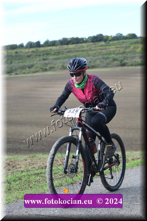 Náhled obrázku: 2024-1122-Valtice-324.JPG