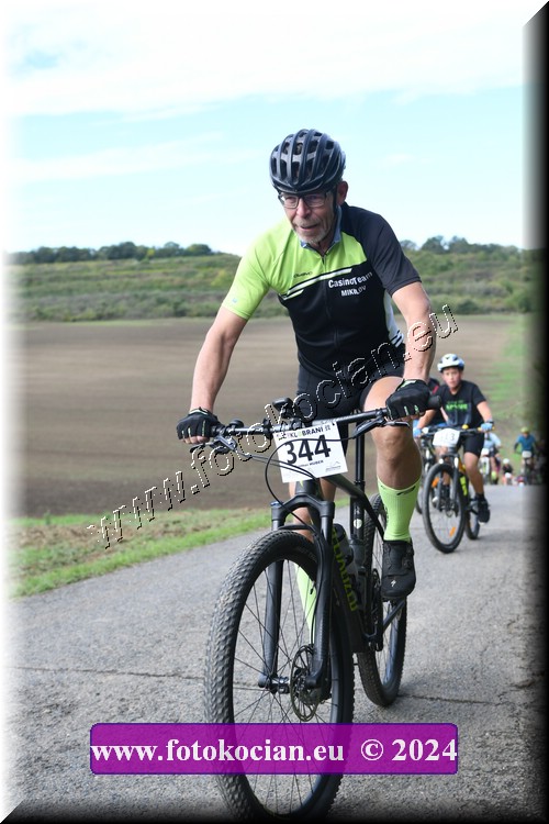 Náhled obrázku: 2024-1127-Valtice-344.JPG