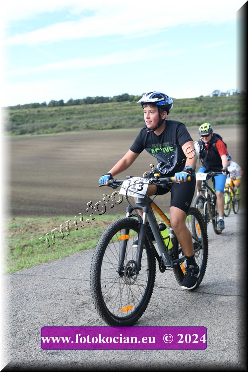 Náhled obrázku: 2024-1128-Valtice-313.JPG