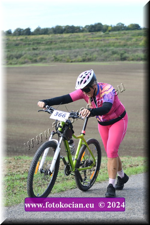 Náhled obrázku: 2024-1135-Valtice-366.JPG