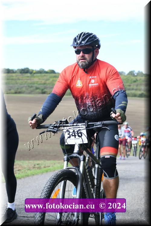 Náhled obrázku: 2024-1149-Valtice-346.JPG