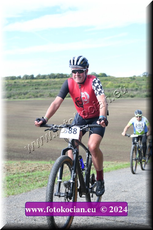 Náhled obrázku: 2024-1150-Valtice-388.JPG