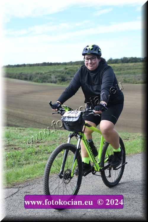 Náhled obrázku: 2024-1164-Valtice-328.JPG