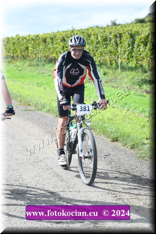 Náhled obrázku: 2024-1168-Valtice-381.JPG