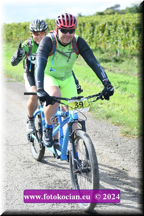 Náhled obrázku: 2024-1170-Valtice-39.JPG