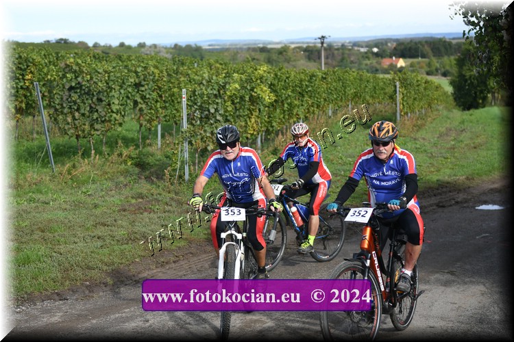 Náhled obrázku: 2024-1171-Valtice-353,351,352.JPG