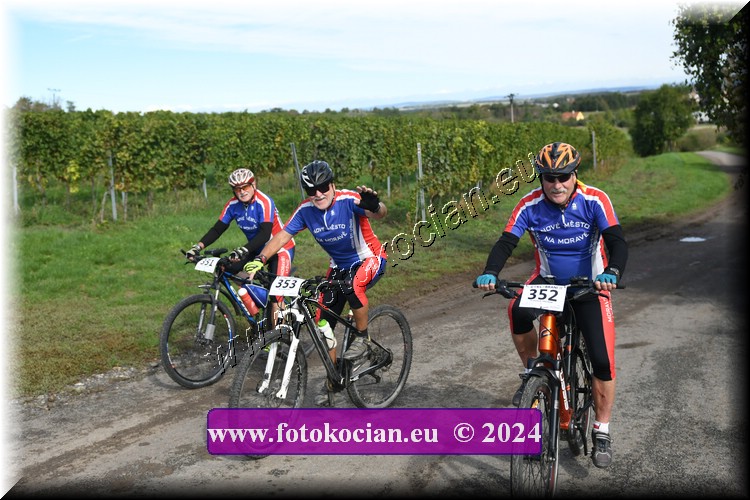 Náhled obrázku: 2024-1172-Valtice-351,352,353.JPG