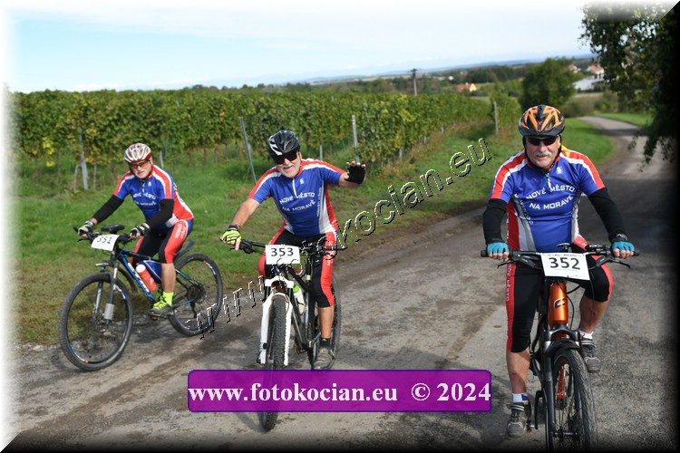 Náhled obrázku: 2024-1173-Valtice-351,352,353.JPG