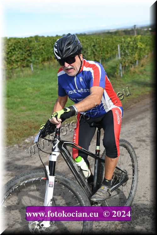 Náhled obrázku: 2024-1174-Valtice-351,352,353.JPG