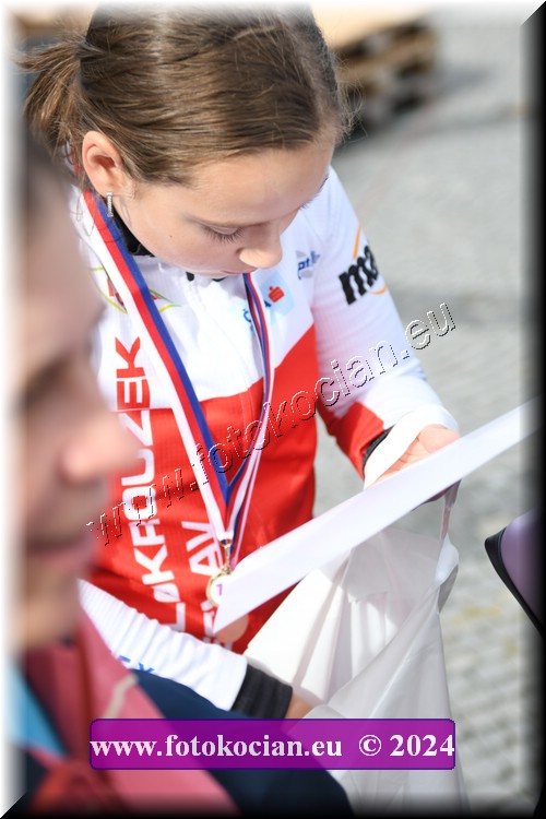 Náhled obrázku: 2024-1869-Valtice-.JPG