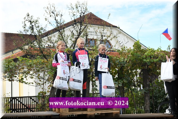 Náhled obrázku: 2024-1878-Valtice-.JPG