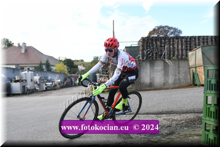 Náhled obrázku: 2024-1729-Valtice-.JPG