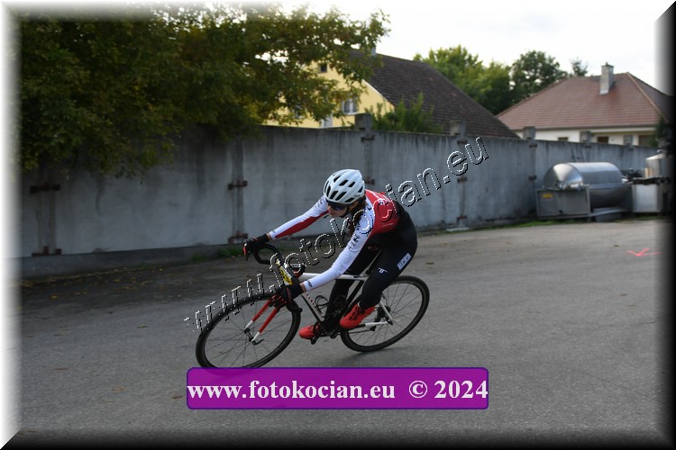 Náhled obrázku: 2024-1739-Valtice-.JPG