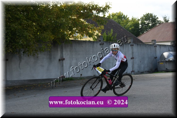 Náhled obrázku: 2024-1744-Valtice-.JPG