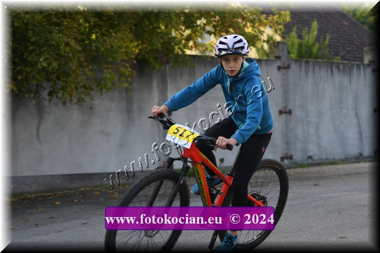 Náhled obrázku: 2024-1771-Valtice-.JPG