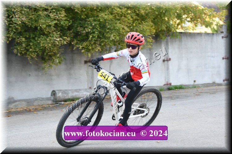 Náhled obrázku: 2024-1791-Valtice-.JPG