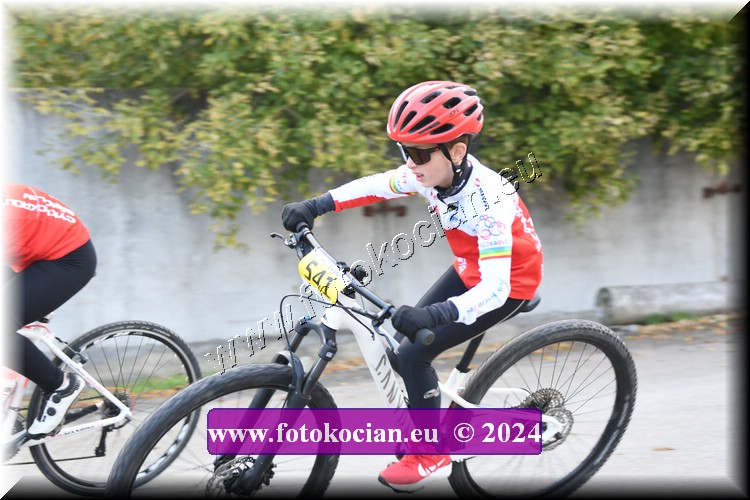 Náhled obrázku: 2024-1798-Valtice-.JPG