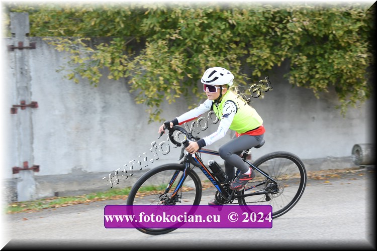 Náhled obrázku: 2024-1802-Valtice-.JPG