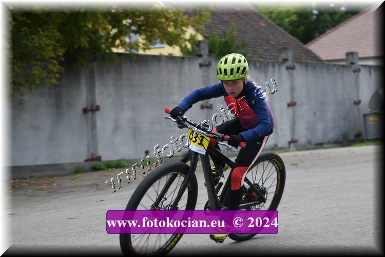 Náhled obrázku: 2024-1816-Valtice-.JPG