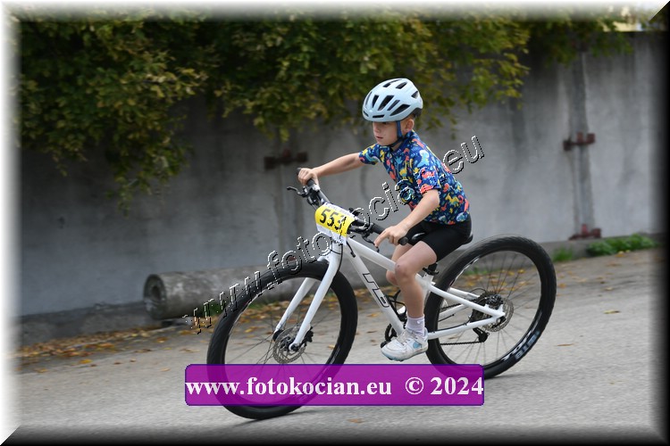 Náhled obrázku: 2024-1818-Valtice-.JPG