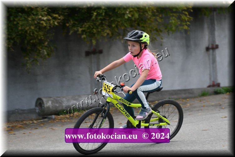 Náhled obrázku: 2024-1825-Valtice-.JPG