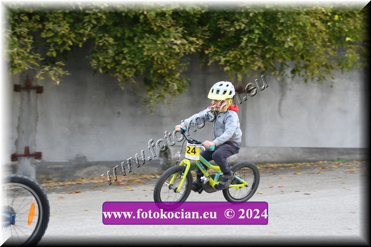 Náhled obrázku: 2024-1839-Valtice-.JPG