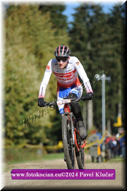 Náhled obrázku: 2024-12031-Bedrichov-10.JPG