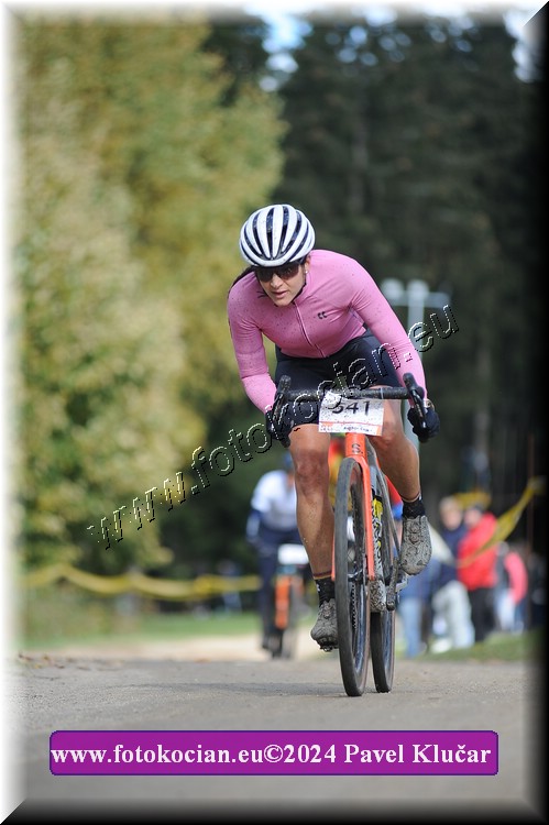 Náhled obrázku: 2024-12094-Bedrichov-541.JPG