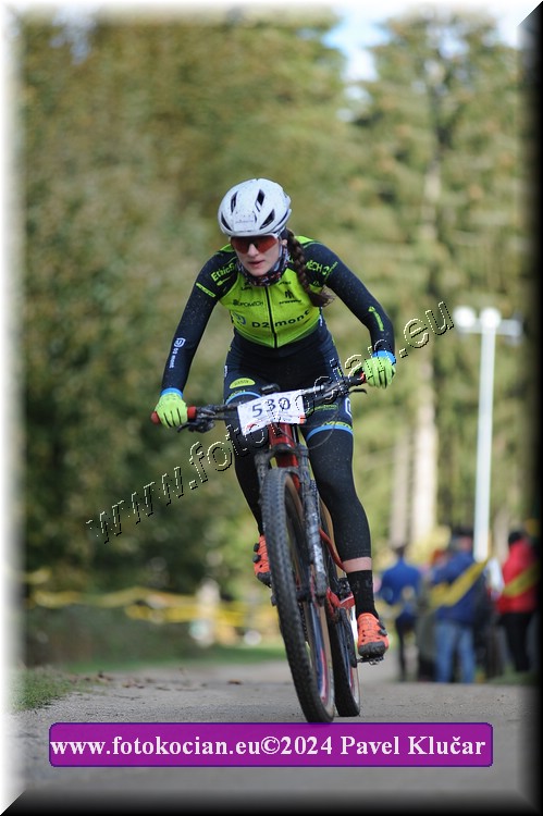 Náhled obrázku: 2024-12111-Bedrichov-530.JPG