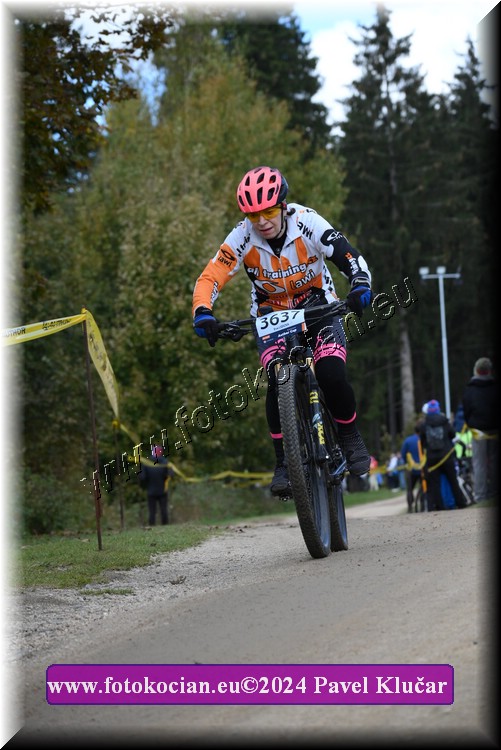 Náhled obrázku: 2024-14532-Bedrichov-3637.JPG