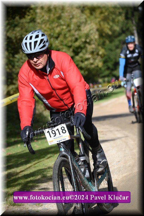 Náhled obrázku: 2024-15128-Bedrichov-1918.JPG