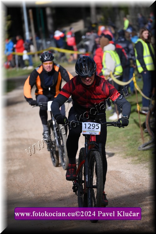 Náhled obrázku: 2024-16128-Bedrichov-1295.JPG