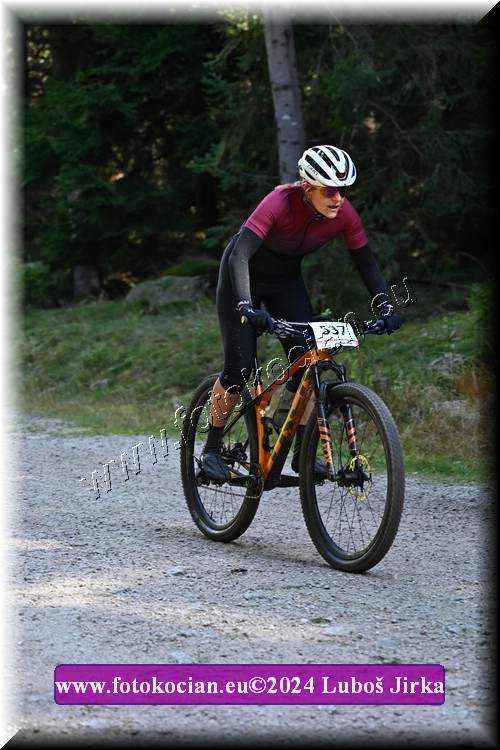 Náhled obrázku: 2024-13946-Bedrichov-537.JPG