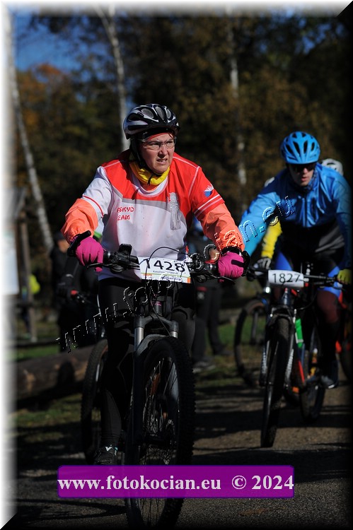 Náhled obrázku: 2024-11081-Bedrichov-.JPG