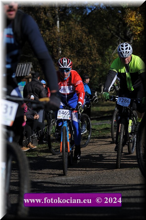 Náhled obrázku: 2024-11108-Bedrichov-.JPG