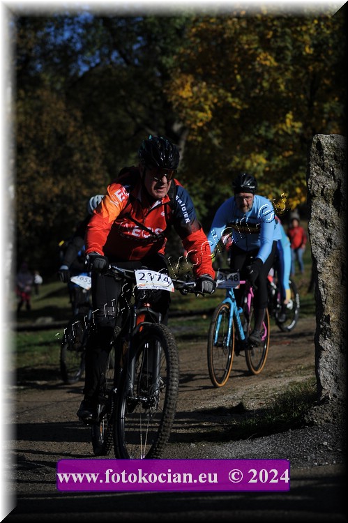 Náhled obrázku: 2024-11196-Bedrichov-.JPG