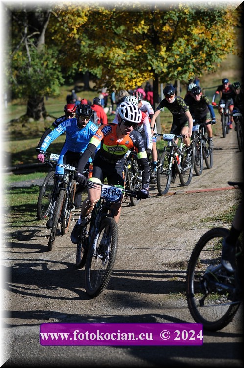 Náhled obrázku: 2024-11311-Bedrichov-.JPG