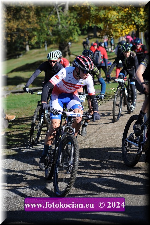 Náhled obrázku: 2024-11314-Bedrichov-.JPG