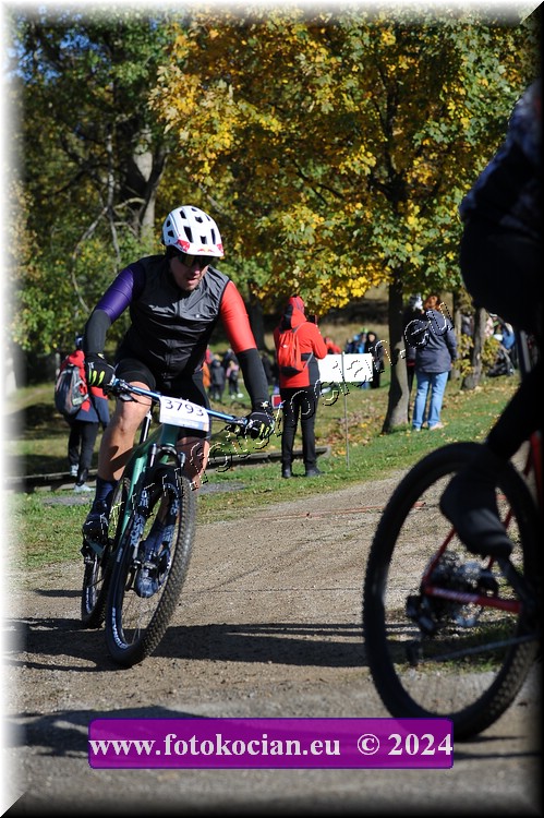 Náhled obrázku: 2024-11459-Bedrichov-.JPG